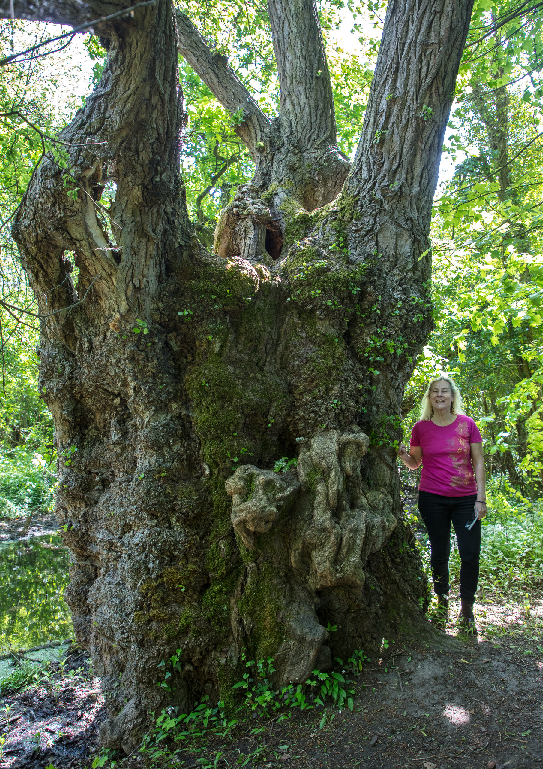 20220508123542 DP017519